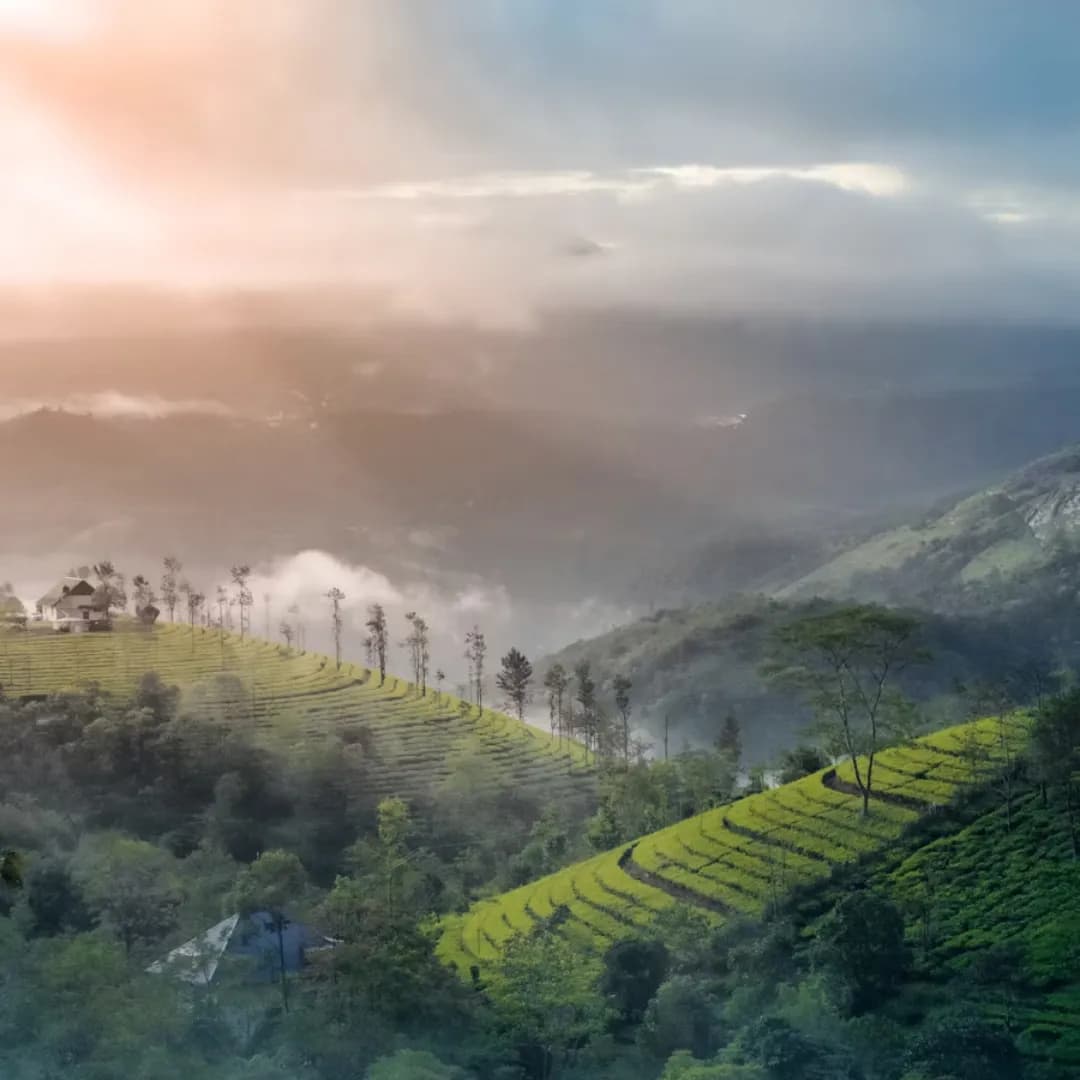 Kerala Couple Tour With Candlelight Dinner